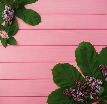 Summer abstract background mockup template free copy space for text pattern sample top view above on pink wooden board. blank empty area for inscription. in corners flowers borders frames lilac bloom