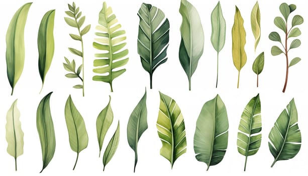 Watercolor drawing set of tropical leaves banana. High quality photo