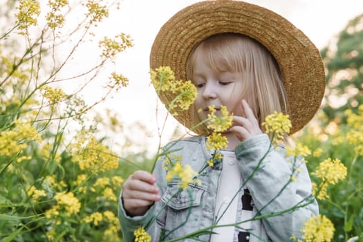 Blonde girl in a field with yellow flowers. A girl in a straw hat is picking flowers in a field. A field with rapeseed