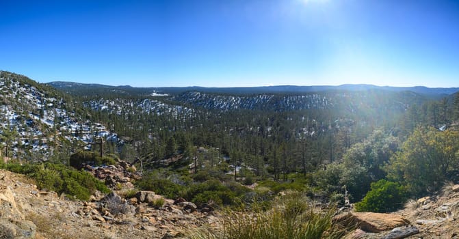 Landscape of pine forest covering a mountain ridge in the Sierra de San Pedro Martir, Baja California, Mexico. Winter snowfall lays on the ground beneath the pine canopy.