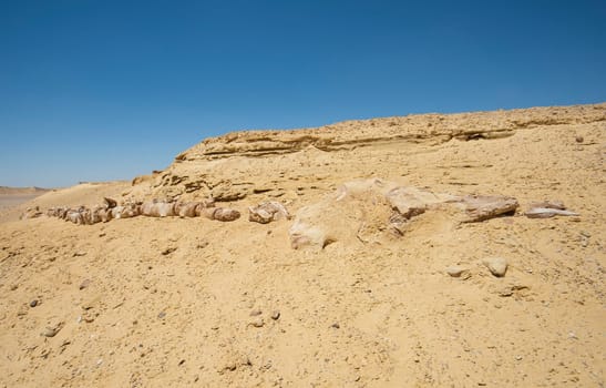 Landscape scenic view of desolate barren western desert in Egypt with geological mountain sandstone rock formations and fossilised whale skeleton