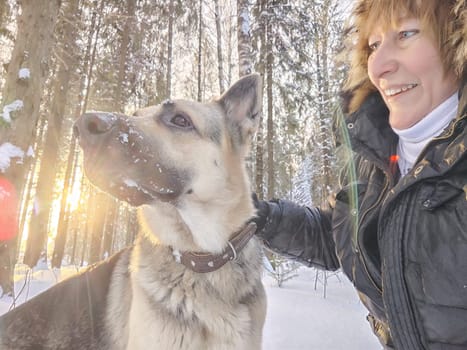 Adult girl with shepherd dog taking selfies in winter forest. Middle aged woman and big shepherd dog on nature in cold day. Friendship, love, communication, fun, hugs