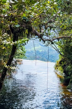 A peaceful river winds through lush greenery to the infinite