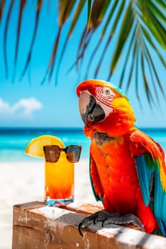 Multi-colored parrot on the beach. Selective focus. animal.