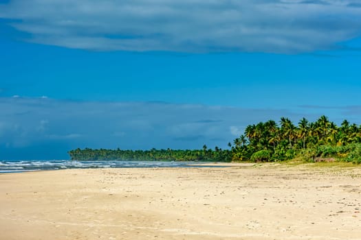 Paradisiacal beach surrounded by coconut trees in Serra Grande on the south coast of Bahia