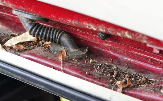 Dirt, mud, dust, pollen and other debris in opening of car left outside for long time during spring