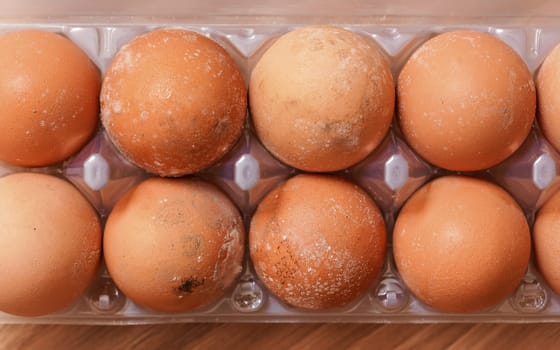 Mould / mildew growing on spoiled eggs stored improperly in cold and wet fridge for long time