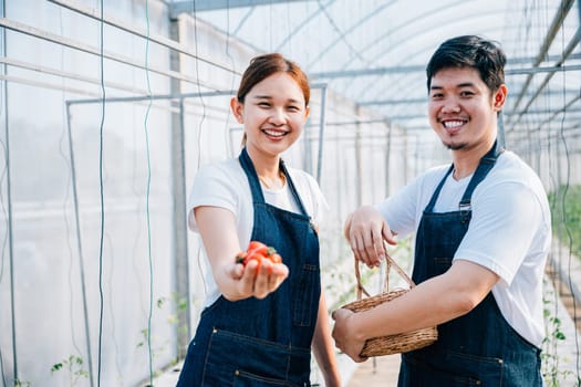 Amidst nature's beauty an Asian couple joyful farmers hold organic tomatoes and vegetables in a greenhouse. Their portrait radiates confidence happiness and success in their farming occupation.