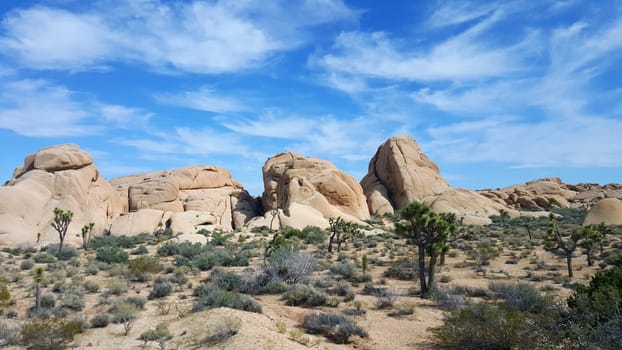 Boulders Landscape in Joshua Tree National Park, California . High quality photo