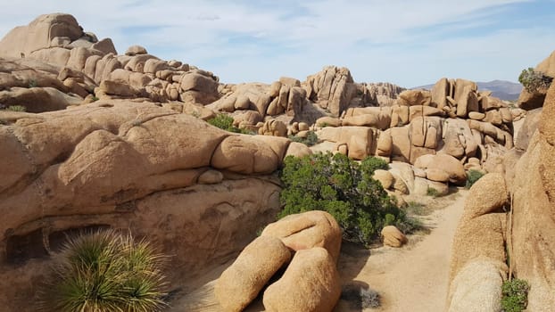 Boulders Landscape in Joshua Tree National Park, California . High quality photo