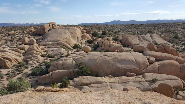 Boulders Landscape in Joshua Tree National Park, California . High quality photo