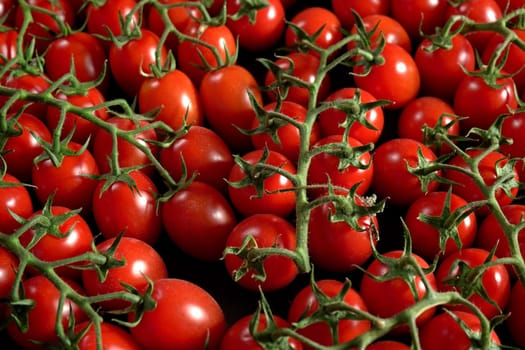 Group of small tomatoes with green stems, view from above