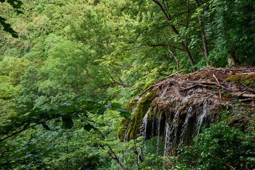 Tranquil Summit Panorama: Majestic Waterfall View amidst Black Forest Scenery in Germany. Riverside Cabin Retreat: Tranquil Hideaway in Germany's Scwarzwald amid Lush Greenery. Mountain River Serenity: Tranquil Escape amidst Scenic Black Forest Landscape in Germany