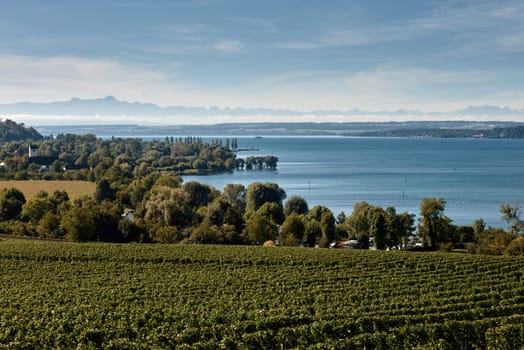 Bodensee Panorama: Alps on the Horizon, Vineyards, and Pastoral Beauty. Alpine Horizon: Bodensee, Vineyards, and Quaint Villages in the German Countryside. Vineyard Vistas: Bodensee, Alpine Peaks, and the Rural Charm of German Agriculture. Rural Tranquility: Bodensee Overlooking Pastures, Vineyards, and Traditional Villages,