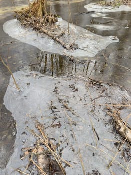 thin transparent ice on a puddle in the park on a winter day, foliage through the ice. High quality photo