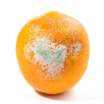 Ripe orange orange on a white background. Isolated citrus with mold.
