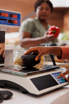 At the counter, an African American cashier weighs locally grown aubergine for a female customer. A shopkeeper uses a digital scale to weigh a freshly harvested bio vegetable.
