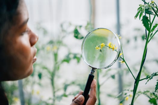 A black woman both gardener and farmer examines flower growth using a magnifying glass in an outdoor garden. Her dedication to sustainability embodies Earth Day and natural agricultural practices.