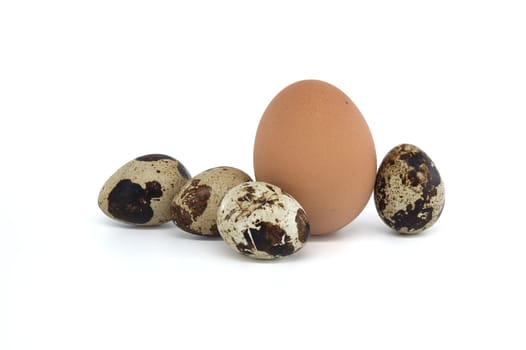 Larger brown egg and smaller quail eggs isolated on white background