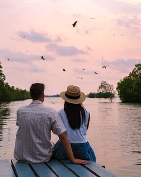 Sea Eagles at sunset in the mangrove of Chantaburi in Thailand, Red backed sea eagle , couple of men and women watching the sunset on a wooden pier