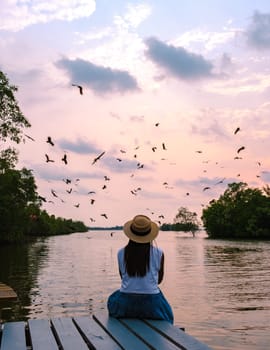 Sea Eagles at sunset in the mangrove of Chantaburi in Thailand, Red backed sea eagle , women watching sunset on a wooden pier