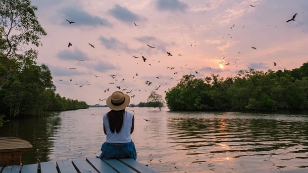 Sea Eagles at sunset in the mangrove of Chantaburi in Thailand, Red backed sea eagle , women watching sunset on a wooden pier over the mangrove forest