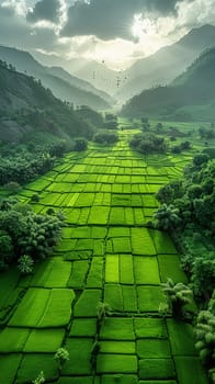 Aerial view of lush green field with kites flying above for Pakistani Spring Festival.