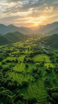 Aerial view of lush green field with kites flying above for Pakistani Spring Festival.