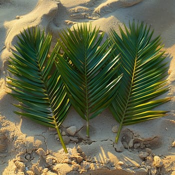 Artful arrangement of palm fronds on sandy beach, representing Palm Sunday.