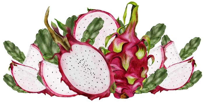 Dragon fruit. Watercolor drawing composition of exotic fruits of the pitahaya cactus. Clip art isolated on white background. For the design of a vegetarian restaurant menu and recipe book. Botanical illustration
