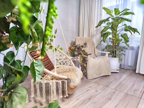 Modern cozy beautiful room with a braided rope macrame swing, chair, green plants, small table and curtains. Interior and background. Location for photo shooting
