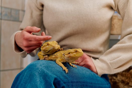 A beautiful woman in a joyful moment, posing with her two adorable bearded dragon pets, radiating love and companionship.