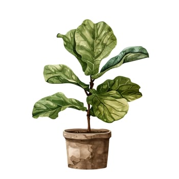 Isolated illustration of fiddle leaf fig plant ai generated element