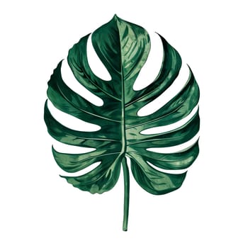 Isolated illustration of monstera leaf ai generated element