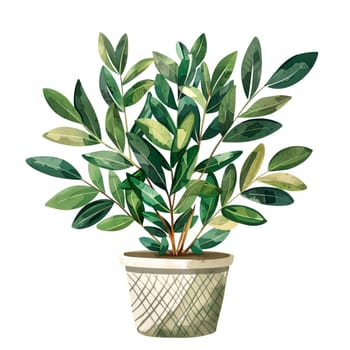 Isolated illustration of a ZZ plant in pot ai generated element