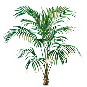 Isolated illustration of areca palm tree ai generated element