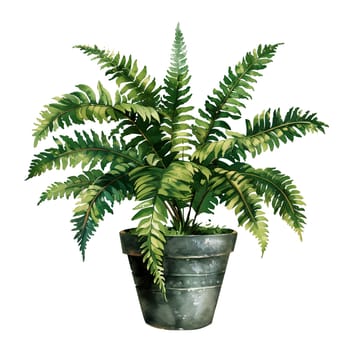 Isolated illustration of boston fern plant ai generated element