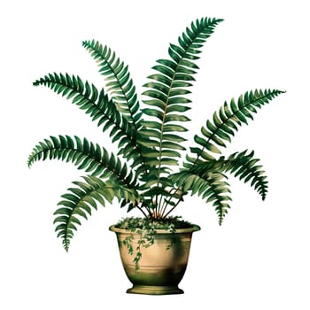 Isolated illustration of boston fern plant ai generated element