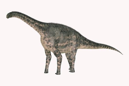 Cetiosaurus was a herbivorous sauropod Titanosaur that lived in Africa during the Jurassic Period.