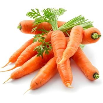 Fresh bunch of carrots with vibrant green leaves, a natural food ingredient perfect for any dish. This root vegetable is a nutritious and colorful addition to your tableware