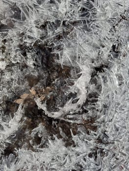 thin transparent ice on a puddle in the park on a spring day, foliage through the ice, dry grass through ice. High quality photo