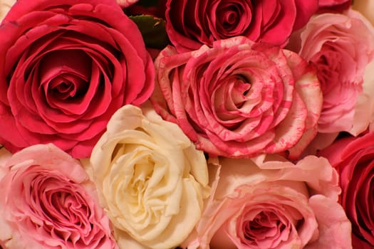 background of pink and yellow roses