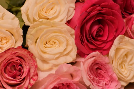 background of pink and yellow roses