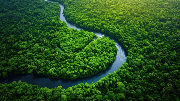 Overhead shot of a winding river cutting through a dense, vibrant green forest, highlighting nature's intricate patterns. aerial view. Resplendent.
