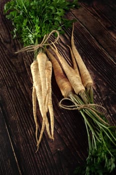 Parsley, parsnip roots with green leaves lying on dark wooden rustic table
