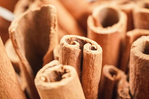 Closeup detail - Heap of cinnamon bark sticks