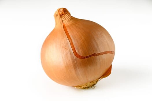 onion on white background for food delivery website 1
