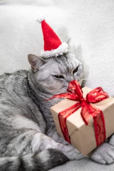 Christmas cat in a red Santa hat with a gift sits on a white background. Pets, Christmas stories with pets
