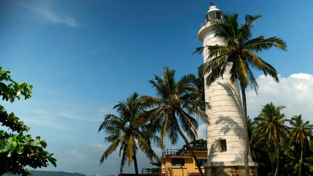 White lighthouse on the coast. Action. Palm trees and beautiful sea shore