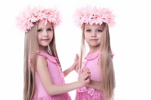 Two beautiful little girls in pink dresses. Isolated on white